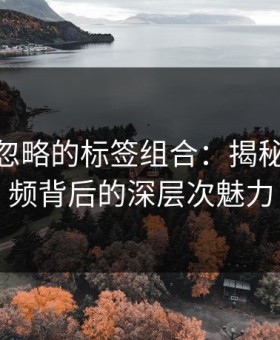 探寻被忽略的标签组合：揭秘新91视频背后的深层次魅力